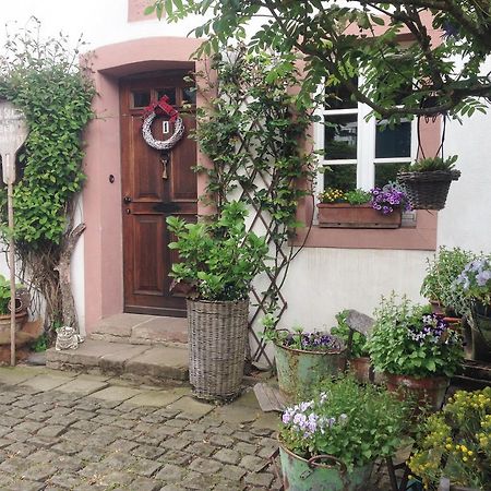 All Seasons Bed & Breakfast Kerpen  Exteriör bild