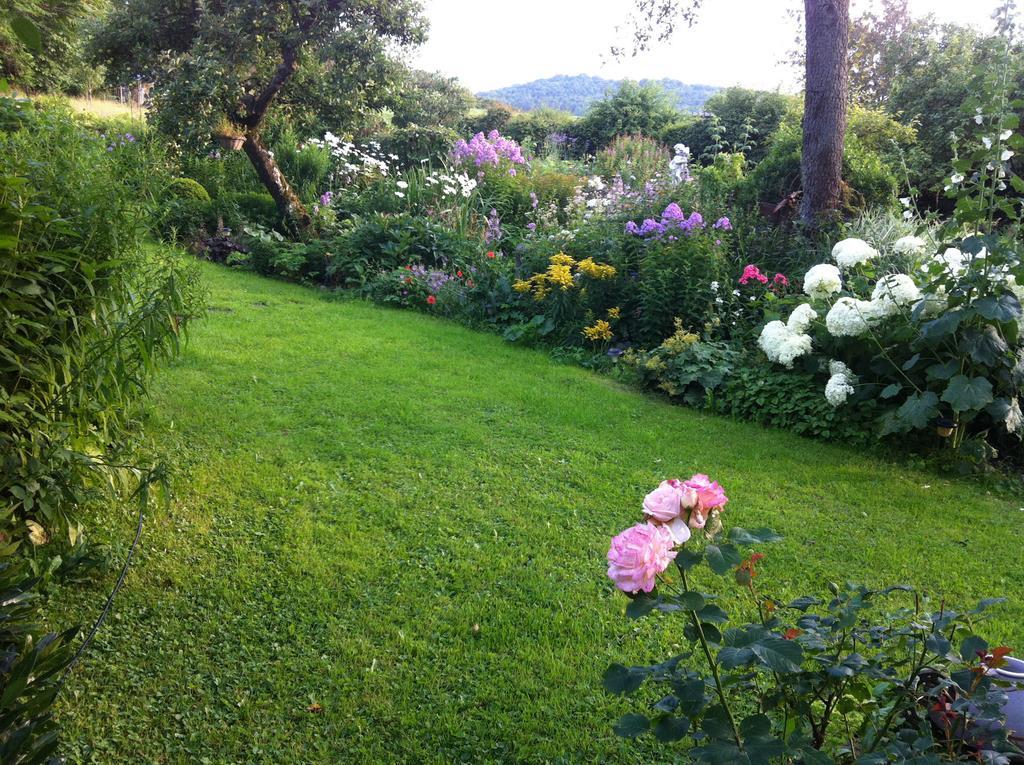 All Seasons Bed & Breakfast Kerpen  Exteriör bild