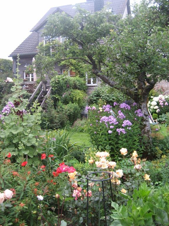 All Seasons Bed & Breakfast Kerpen  Exteriör bild